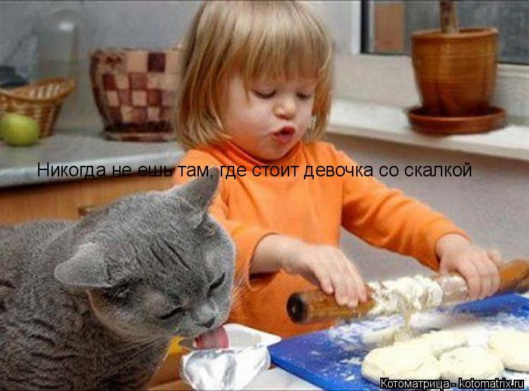 Никогда не ешь там, где стоит девочка со скалкой... Котоматрица: Никогда не ешь там, где стоит девочка со скалкой