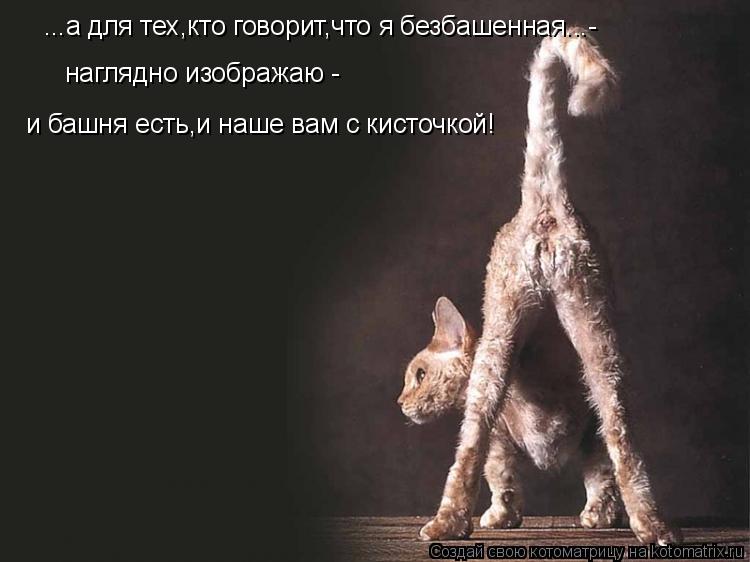 Котоматрица: ...а для тех,кто говорит,что я безбашенная...- наглядно изображаю - и башня есть,и наше вам с кисточкой!