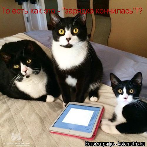 Котоматрица: То есть как это - "зарядка кончилась"!?