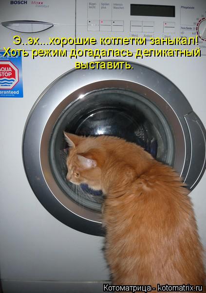 Котоматрица: Э..эх...хорошие котлетки заныкал! Хоть режим догадалась деликатный выставить.