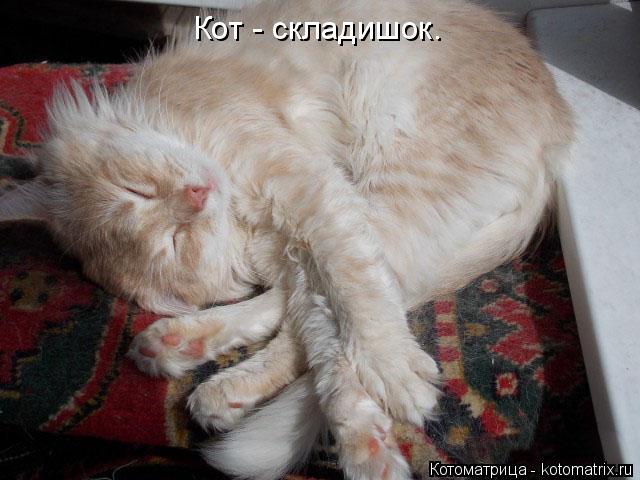Кот - складишок.... Котоматрица: Кот - складишок.