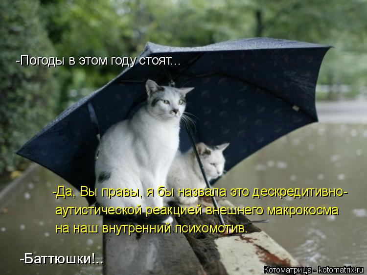 Котоматрица: -Погоды в этом году стоят... -Да, Вы правы, я бы назвала это дескредитивно- аутистической реакцией внешнего макрокосма на наш внутренний псих