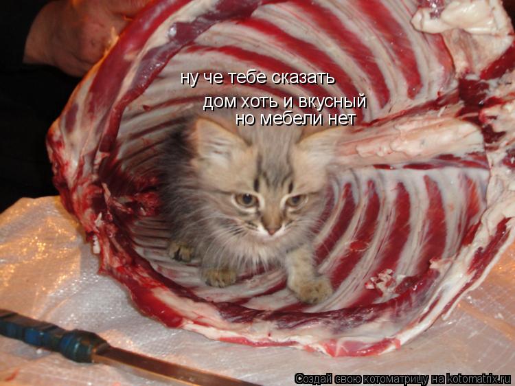 ну че тебе сказать дом хоть и вкусный но мебели нет... Котоматрица: ну че тебе сказать дом хоть и вкусный но мебели нет