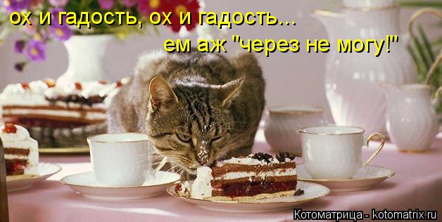 Котоматрица: ох и гадость, ох и гадость... ем аж "через не могу!"