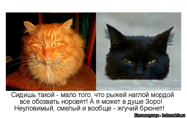 Котоматрица: Сидишь такой - мало того, что рыжей наглой мордой все обозвать норовят! А я может в душе Зоро! Неуловимый, смелый и вообще - жгучий брюнет!