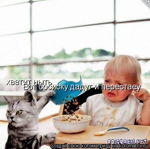 Котоматрица: хватит ныть  Вот сосиску дадут и перестаеу