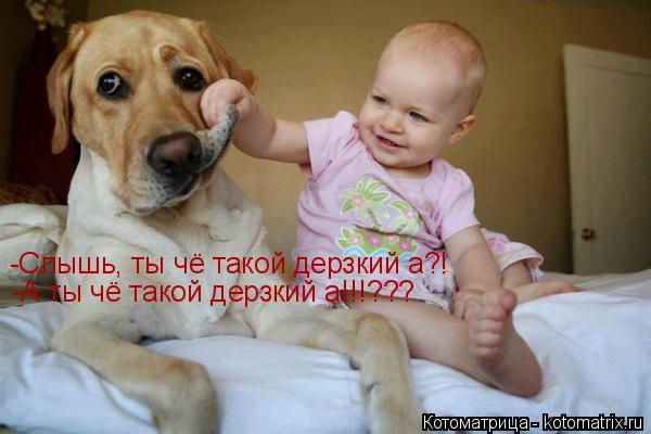 Котоматрица: -Слышь, ты чё такой дерзкий а?! -А ты чё такой дерзкий а!!!???