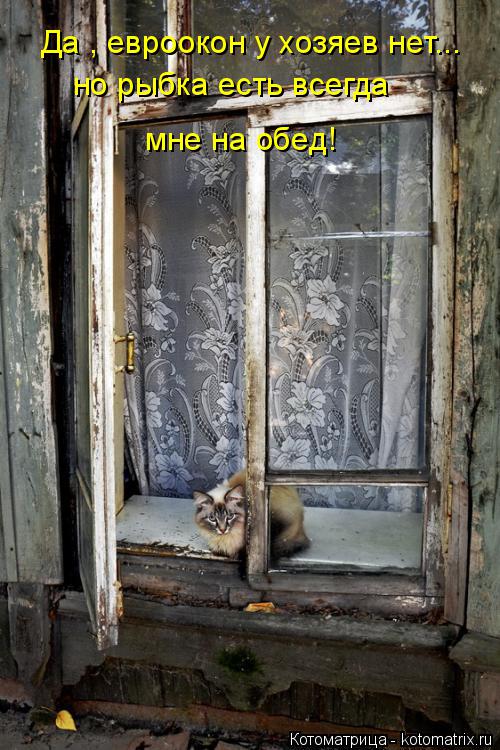 Да , евроокон у хозяев нет... но рыбка есть всегда мне на обед!... Котоматрица: Да , евроокон у хозяев нет... но рыбка есть всегда мне на обед!