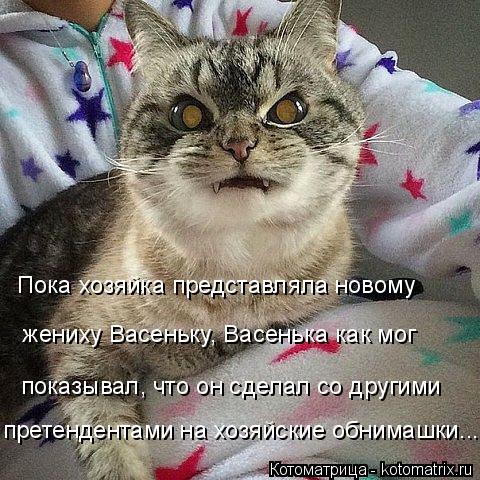 Пока хозяйка представляла новому жениху Васеньку, Васенька как мог показывал, что он сделал со други... Котоматрица: Пока хозяйка представляла новому жениху Васеньку, Васенька как мог показывал, что он сделал со другими претендентами на хозяйские обнима