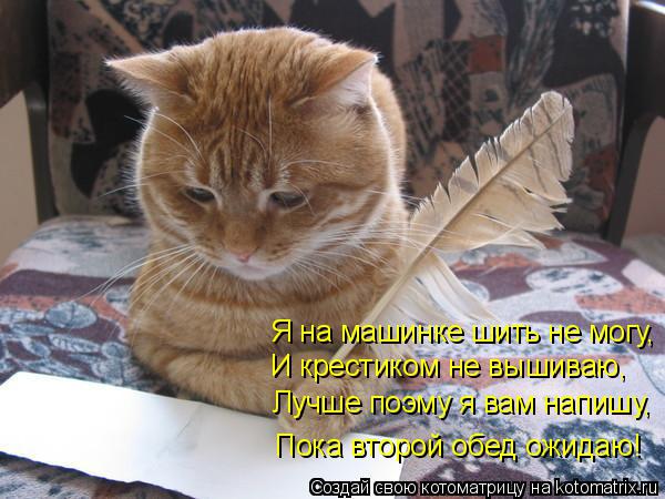 Котоматрица: Я на машинке шить не могу, И крестиком не вышиваю, Лучше поэму я вам напишу, Пока второй обед ожидаю!