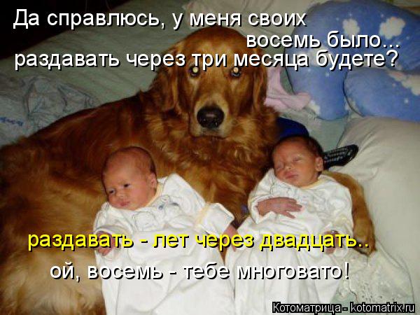 Котоматрица: Да справлюсь, у меня своих  восемь было... раздавать через три месяца будете? раздавать - лет через двадцать.. ой, восемь - тебе многовато!
