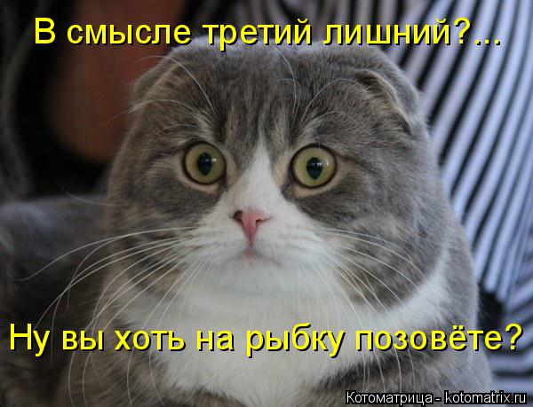 Котоматрица: В смысле третий лишний?... Ну вы хоть на рыбку позовёте?