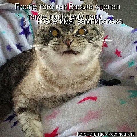 Котоматрица: После того как Васька сделал  такое лицо, ему дали новое имя, вампираська
