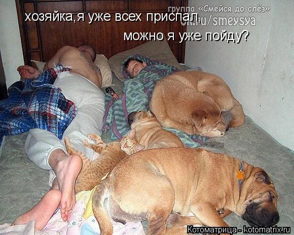 Котоматрица: хозяйка,я уже всех приспал, можно я уже пойду?
