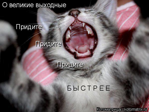 О великие выходные Придите Придите Придите Б Ы С Т Р Е Е... Котоматрица: О великие выходные Придите Придите Придите Б Ы С Т Р Е Е