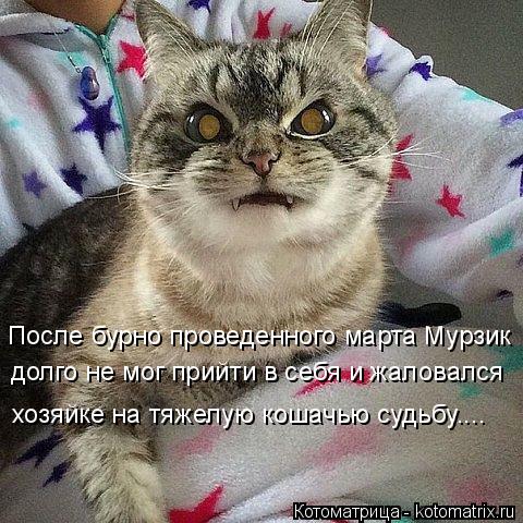 Котоматрица: После бурно проведенного марта Мурзик долго не мог прийти в себя и жаловался  хозяйке на тяжелую кошачью судьбу....