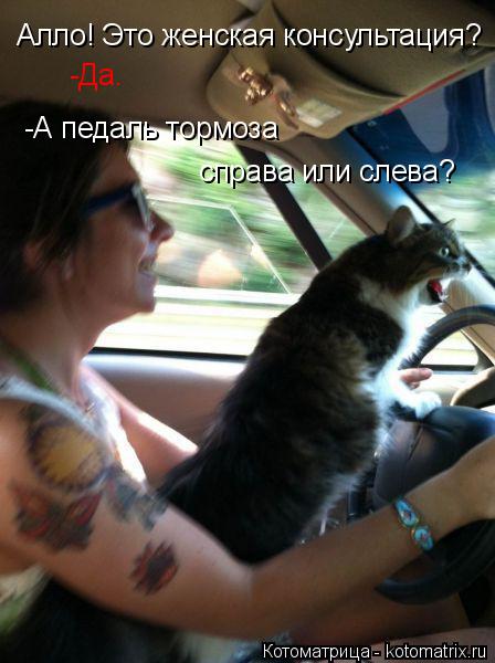 Котоматрица: Алло! Это женская консультация? -Да. -А педаль тормоза  справа или слева?