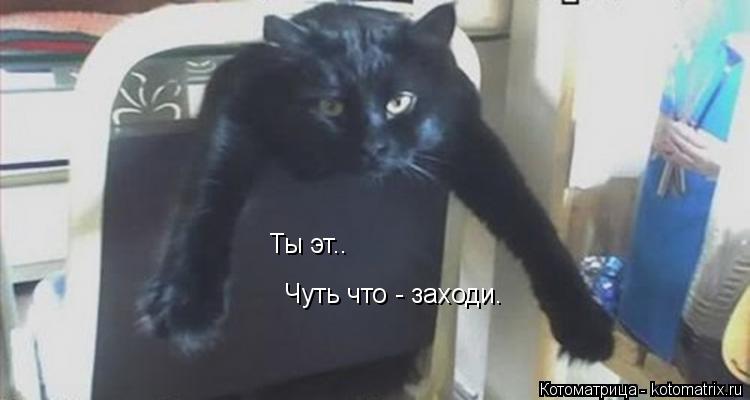 Котоматрица: Ты эт.. Чуть что - заходи.