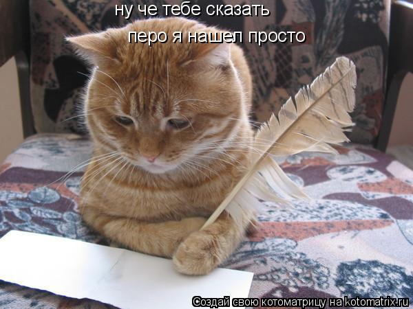 ну че тебе сказать перо я нашел просто... Котоматрица: ну че тебе сказать перо я нашел просто