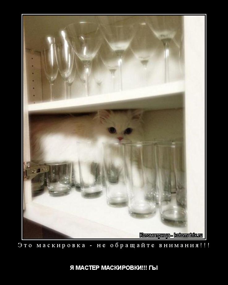 Котоматрица: Это маскировка - не обращайте внимания!!! Я МАСТЕР МАСКИРОВКИ!!! ГЫ