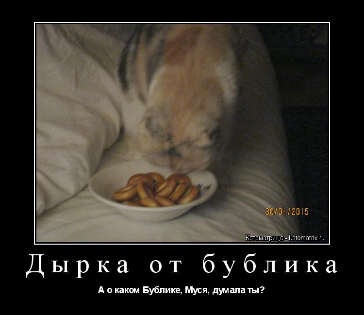 Дырка от бублика А о каком Бублике, Муся, думала ты?... Котоматрица: Дырка от бублика А о каком Бублике, Муся, думала ты?