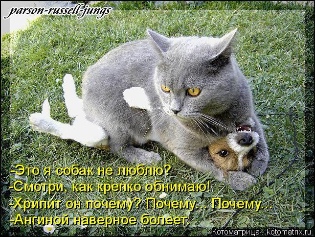 -Это я собак не люблю? -Смотри, как крепко обнимаю! -Хрипит он почему? Почему... Почему... -Ангиной н... Котоматрица: -Это я собак не люблю? -Смотри, как крепко обнимаю! -Хрипит он почему? Почему... Почему... -Ангиной наверное болеет.