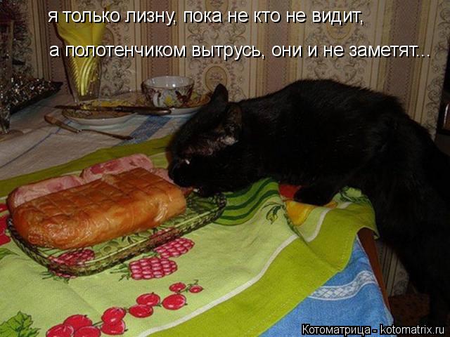 я только лизну, пока не кто не видит, а полотенчиком вытрусь, они и не заметят...... Котоматрица: я только лизну, пока не кто не видит, а полотенчиком вытрусь, они и не заметят...