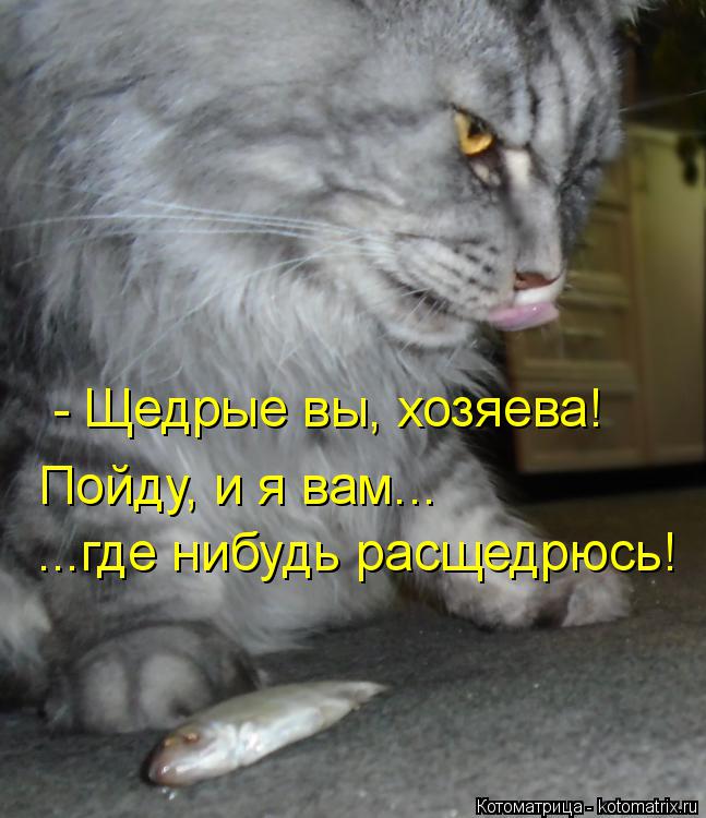 Котоматрица: - Щедрые вы, хозяева!  Пойду, и я вам... ...где нибудь расщедрюсь!