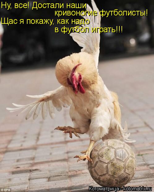 Ну, все! Достали наши кривоногие футболисты! Щас я покажу, как надо в футбол играть!!!... Котоматрица: Ну, все! Достали наши кривоногие футболисты! Щас я покажу, как надо в футбол играть!!!