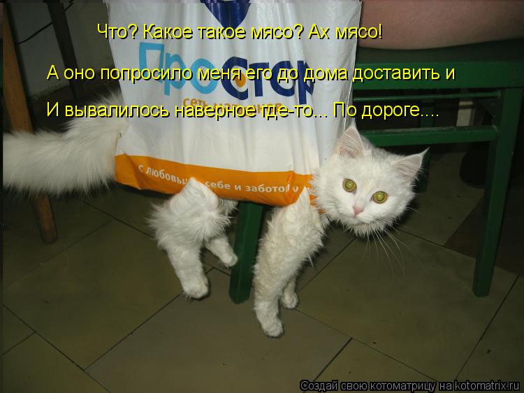 Что? Какое такое мясо? Ах мясо! А оно попросило меня его до дома доставить и И вывалилось наверное ... Котоматрица: Что? Какое такое мясо? Ах мясо! А оно попросило меня его до дома доставить и И вывалилось наверное где-то... По дороге....