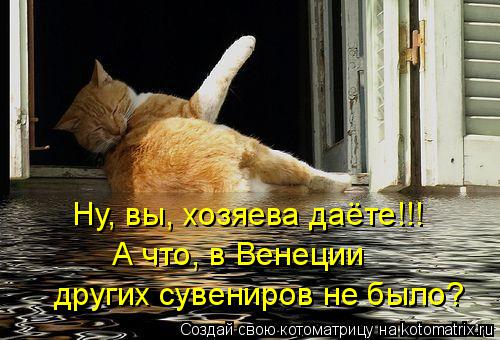 Ну, вы, хозяева даёте!!! А что, в Венеции других сувениров не было?... Котоматрица: Ну, вы, хозяева даёте!!! А что, в Венеции других сувениров не было?