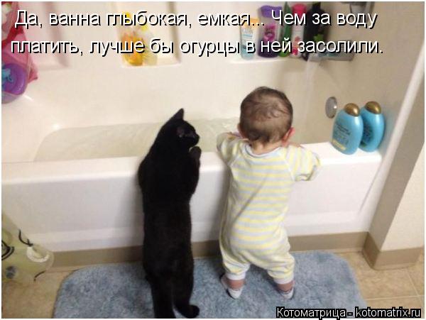 Да, ванна глыбокая, емкая... Чем за воду платить, лучше бы огурцы в ней засолили.... Котоматрица: Да, ванна глыбокая, емкая... Чем за воду платить, лучше бы огурцы в ней засолили.