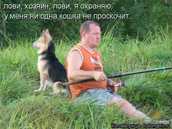 лови, хозяин, лови, я охраняю, у меня ни одна кошка не проскочит...... Котоматрица: лови, хозяин, лови, я охраняю, у меня ни одна кошка не проскочит...