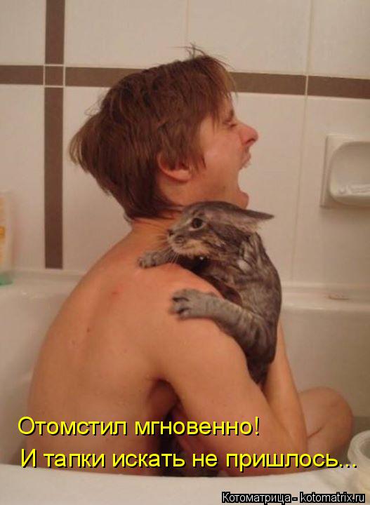 Отомстил мгновенно! И тапки искать не пришлось...... Котоматрица: Отомстил мгновенно! И тапки искать не пришлось...