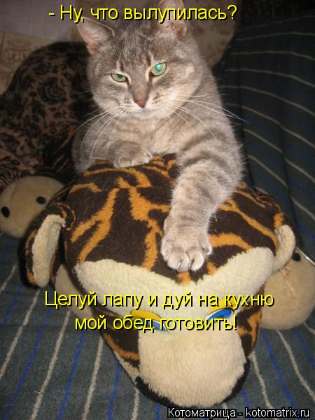 - Ну, что вылупилась? Целуй лапу и дуй на кухню мой обед готовить!... Котоматрица: - Ну, что вылупилась? Целуй лапу и дуй на кухню мой обед готовить!