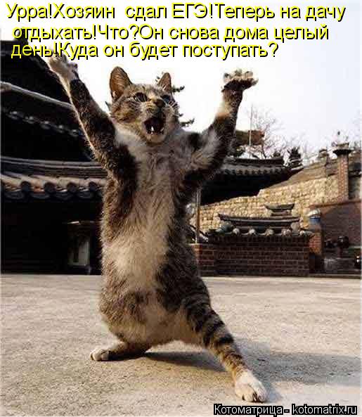 Урра!Хозяин сдал ЕГЭ!Теперь на дачу отдыхать!Что?Он снова дома целый день!Куда он будет поступать?... Котоматрица: Урра!Хозяин сдал ЕГЭ!Теперь на дачу отдыхать!Что?Он снова дома целый день!Куда он будет поступать?