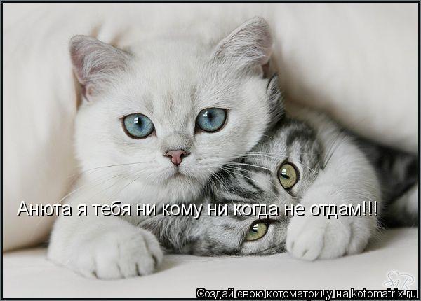 Анюта я тебя ни кому ни когда не отдам!!!... Котоматрица: Анюта я тебя ни кому ни когда не отдам!!!