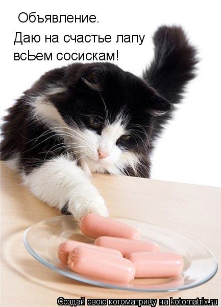 Котоматрица: Даю на счастье лапу  Объявление. всЬем сосискам!