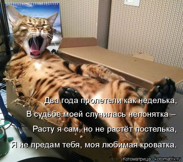 Два года пролетели как неделька, В судьбе моей случилась непонятка – Расту я сам, но не растёт постел... Котоматрица: Два года пролетели как неделька, В судьбе моей случилась непонятка – Расту я сам, но не растёт постелька, Я не предам тебя, моя любимая крова