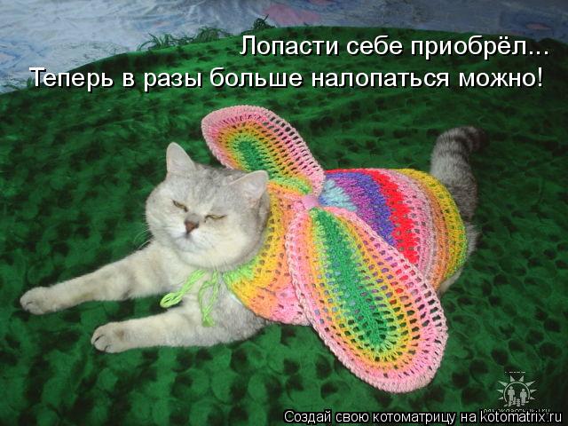 Котоматрица: Лопасти себе приобрёл... Теперь в разы больше налопаться можно!