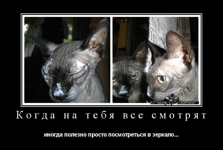 Котоматрица: Когда на тебя все смотрят иногда полезно просто посмотреться в зеркало...