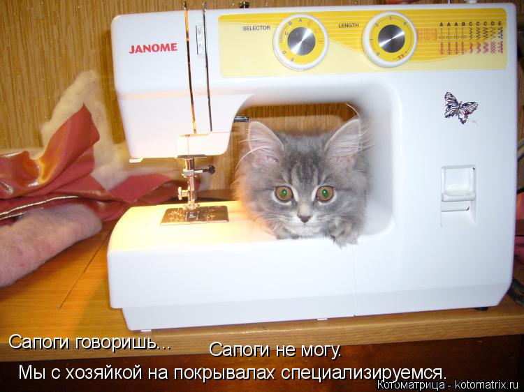 Сапоги говоришь... Сапоги не могу. Мы с хозяйкой на покрывалах специализируемся.... Котоматрица: Сапоги говоришь... Сапоги не могу. Мы с хозяйкой на покрывалах специализируемся.
