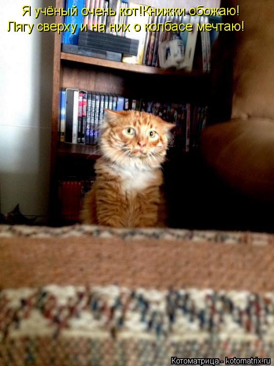 Котоматрица: Я учёный очень кот!Книжки обожаю! Лягу сверху и на них о колбасе мечтаю!