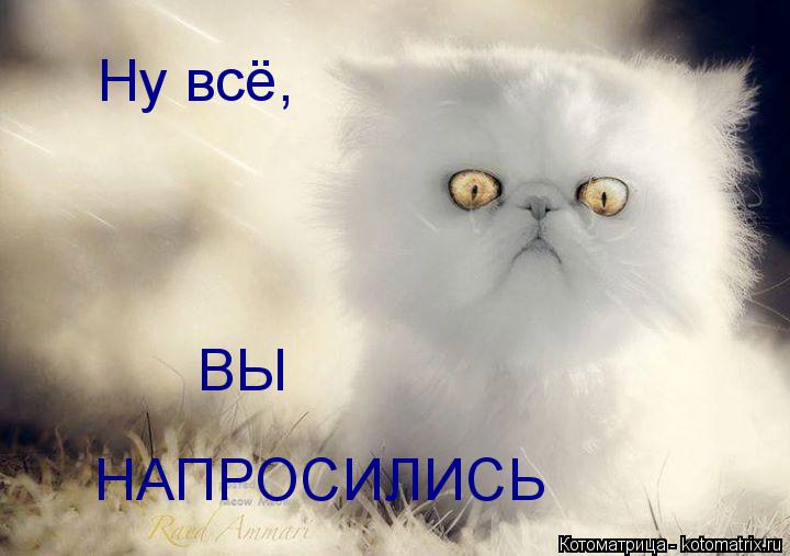 Котоматрица: Ну всё, НАПРОСИЛИСЬ ВЫ