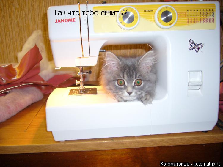 Так что тебе сшить?... Котоматрица: Так что тебе сшить?