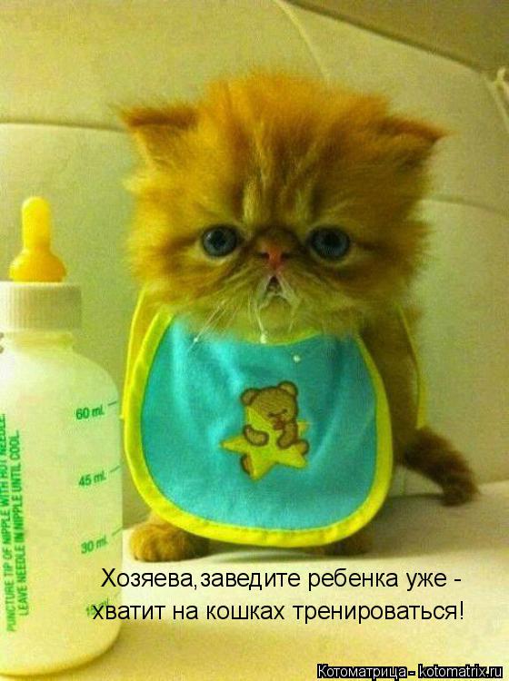 Хозяева,заведите ребенка уже - хватит на кошках тренироваться!... Котоматрица: Хозяева,заведите ребенка уже - хватит на кошках тренироваться!