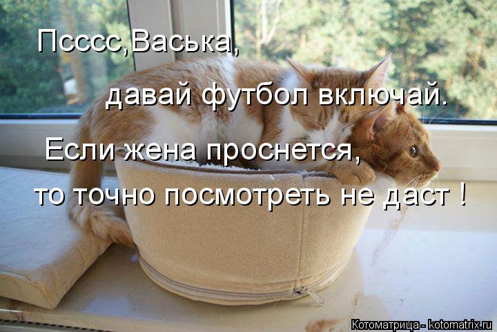 Котоматрица: Псссс,Васька, давай футбол включай. Если жена проснется,  то точно посмотреть не даст !