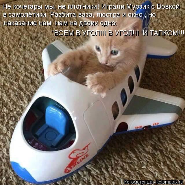 Котоматрица: Не кочегары мы, не плотники! Играли Мурзик с Вовкой  в самолётики. Разбита ваза, люстра и окно , но  наказание нам  нам на двоих одно:  "ВСЕМ В УГ
