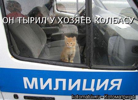 ОН ТЫРИЛ У ХОЗЯЕВ КОЛБАСУ... Котоматрица: ОН ТЫРИЛ У ХОЗЯЕВ КОЛБАСУ