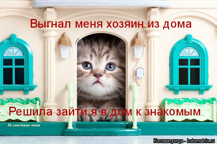 Котоматрица: Выгнал меня хозяин из дома Решила зайти я в дом к знакомым